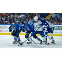 Syracuse Crunch battle the Springfield Thunderbirds