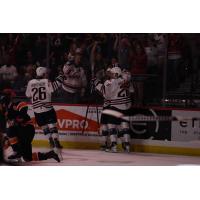 South Carolina Stingrays celebrate a goal