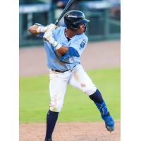 Roni Cabrera at bat for the Columbia Fireflies