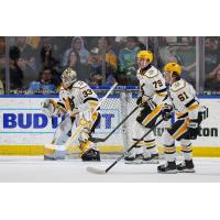 Wheeling Nailers goaltender Taylor Gauthier stands ready