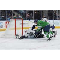 Florida Everblades forward Craig Needham vs. the Jacksonville Icemen
