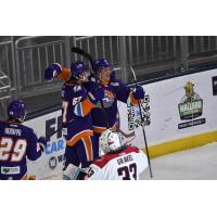 Orlando Solar Bears exchange congratulations