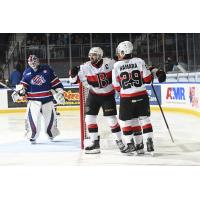 Belleville Senators react after a goal against the Rochester Americans