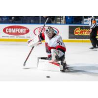 Belleville Senators goaltender Jackson Parsons