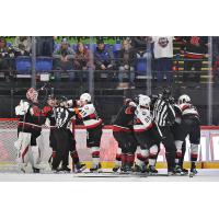 Belleville Senators battle with the Utica Comets