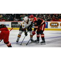 Grand Rapids Griffins left wing Eduards Tralmaks (right) prepares for battle