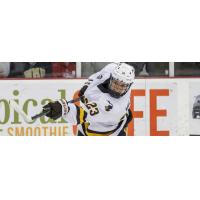 Forward Liam Valente with Western Michigan University