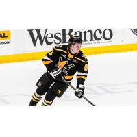 Ryan McAllister of the Wheeling Nailers