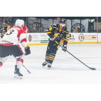 Wheeling Nailers defenseman Emil Pieniniemi