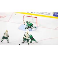 Texas Stars goaltender Remi Poirier vs. the Iowa Wild