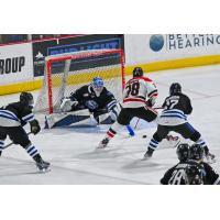 Wenatchee Wild goaltender Tobias Tvrznik