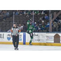 Florida Everblades react after a score against the Jacksonville Icemen