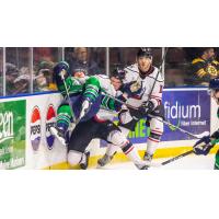 Adirondack Thunder crunch the Maine Mariners