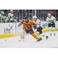Greenville Swamp Rabbits forward Ryan O'Reilly puts on the brakes vs. the Savannah Ghost Pirates