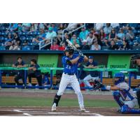 Biloxi Shuckers at the plate