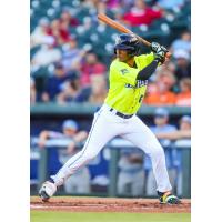 Yandel Ricardo of the Columbia Fireflies