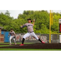 Pitcher Dominic Puccetti with the Washington Wild Things