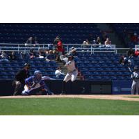 Somerset Patriots left fielder DJ Gladney