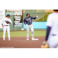 Tri-City Dust Devils third baseman Jake Munroe