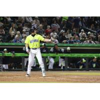Josh Hammond at bat for the Columbia Fireflies