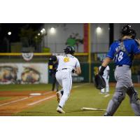 Montgomery Biscuits first baseman Will Simpson