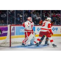 Grand Rapids Griffins' Trey Augustine and Shai Buium on game night
