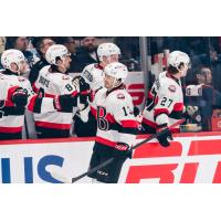 Belleville Senators' Xavier Bourgault congratulated by team