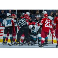 Allen Americans battle the Belleville Senators