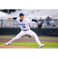 Everett AquaSox' Colton Shaw in action