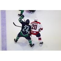 Florida Everblades forward Kyle Neuber vs. the South Carolina Stingrays