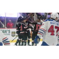 Adirondack Thunder celebrate a goal