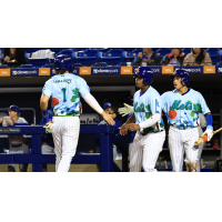 AJ Salgado of the St. Lucie Mets receives high fives after crossing home plate
