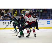 South Carolina Stingrays defenseman Mike Brown