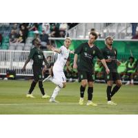Rhode Island FC reacts after a goal at Lexington SC