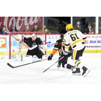 Ryan McAllister of the Wheeling Nailers scores against the Reading Royals