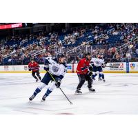 Worcester Railers HC defenseman Adam Samuelsson