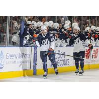 Greenville Swamp Rabbits forward Jake Percival along the bench