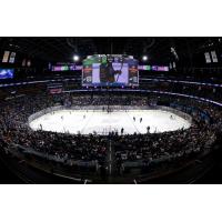 A record crowd watches the Orlando Solar Bears on April 11, 2026