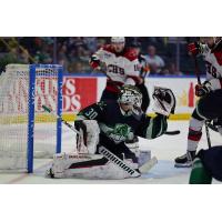 Florida Everblades' Kyle McClellan on game night
