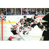 Rapid City Rush's Nathan Torchia and Will Portokalis in action
