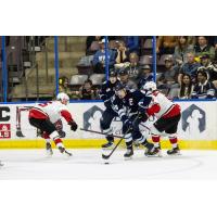 Penticton Vees' Nolan Stevenson battles the Prince George Cougars