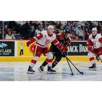 Grand Rapids Griffins forward Michael Brandsegg-Nygard