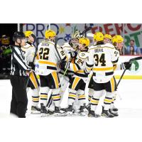 Wheeling Nailers congratulate goaltender Gabriel D'Aigle