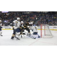 Springfield Thunderbirds goaltender Georgi Romanov vs. the Providence Bruins