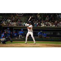 Charleston RiverDogs catcher Brody Donay