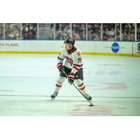 Rapid City Rush defenseman Clay Hanus