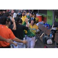 Fayetteville Woodpeckers exchange high fives in the dugout