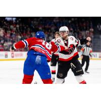 Belleville Senators fight with the Laval Rocket
