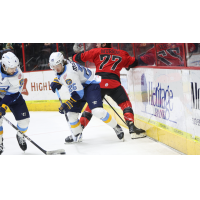 Toledo Walleye defenseman Riley McCourt