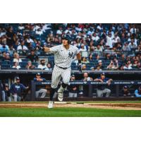 Anthony Volpe with the New York Yankees